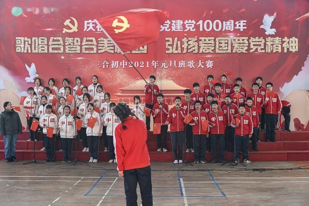 泡沫森林
